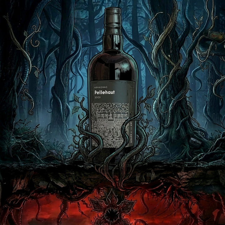 Grape of the Art Pellehaut 2005 