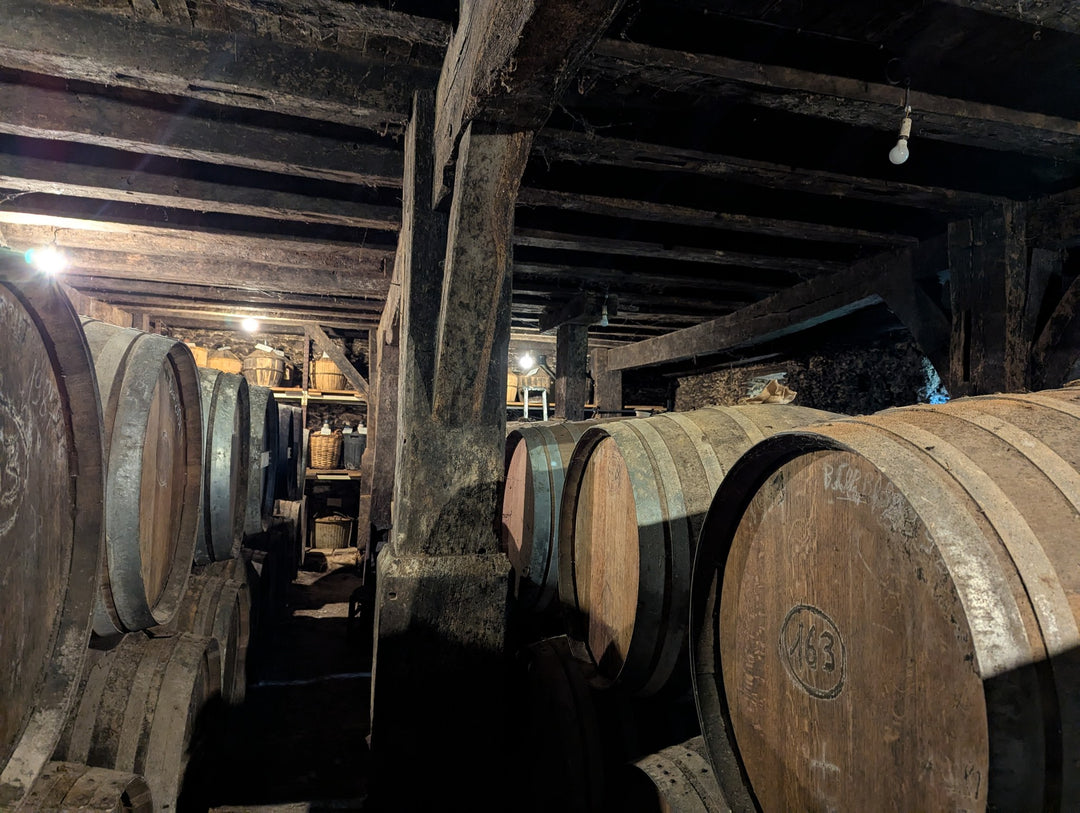 Domaine de Poutëou, 09/2025