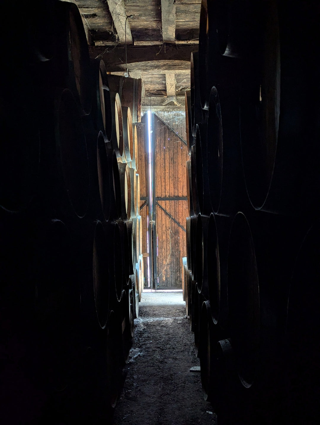 Domaine de Poutëou, 09/2025
