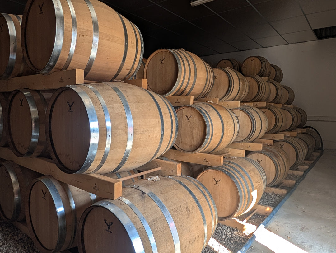 Young Casks in Warehouse