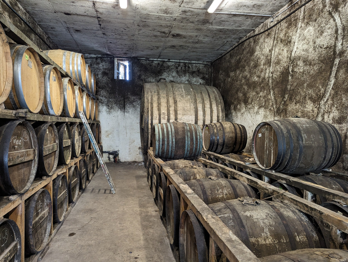 Fasskeller von Château Pomès-Pébérère mit Fässern in mehreren Reihen