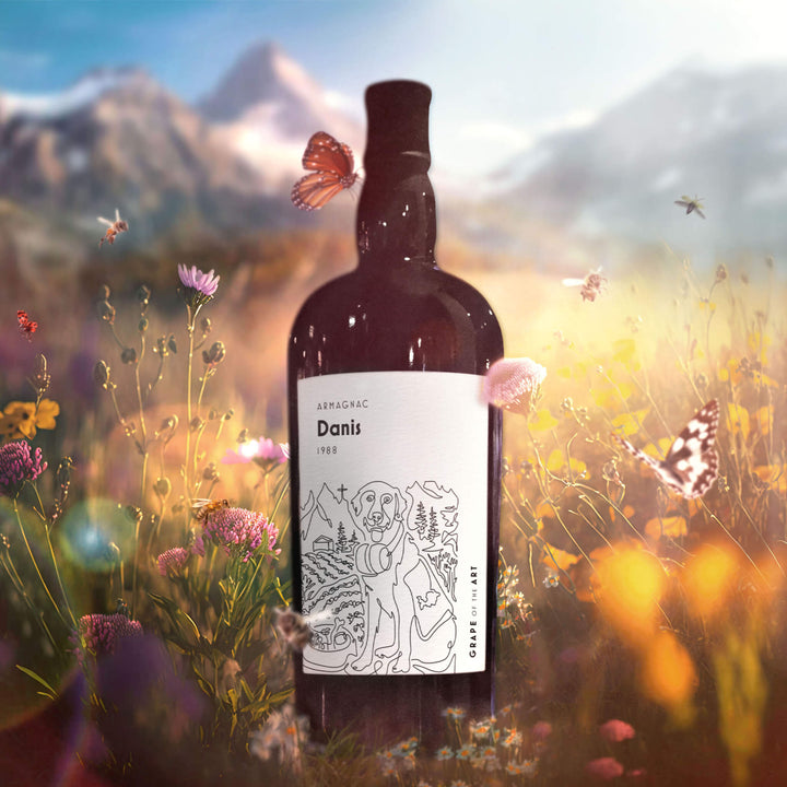 Grape of the Art Domaine de Danis 1988 